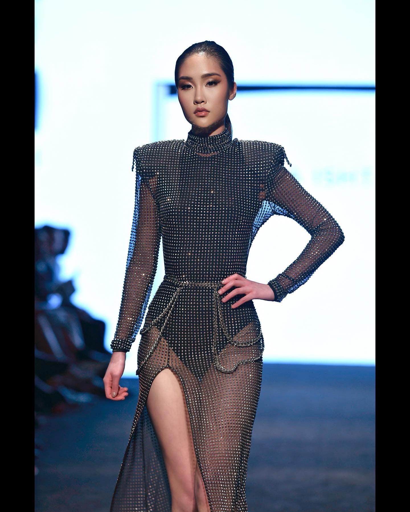 Long Sleeve High Slit Black Mesh Silver Rhinestone Dress Long Sleeve High Slit Black Mesh Silver Rhinestone Dress